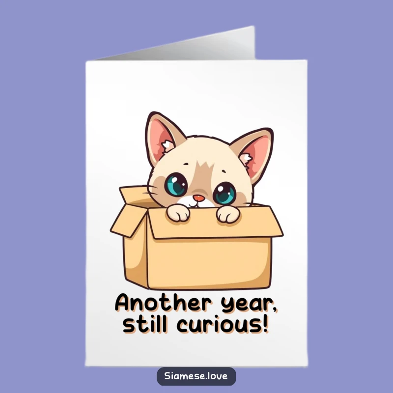 Free Printable Birthday Card: Curious Siamese Cat Box Peek Funny Downloadable Gift